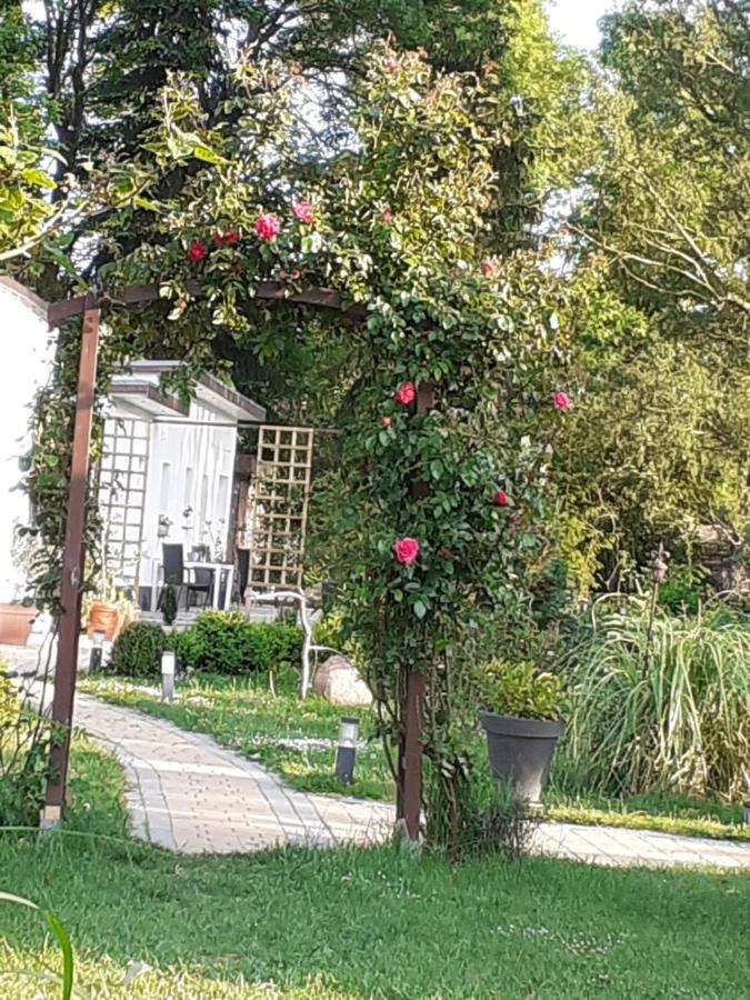Ferienhaus Ciara Leilighet Splietsdorf Eksteriør bilde
